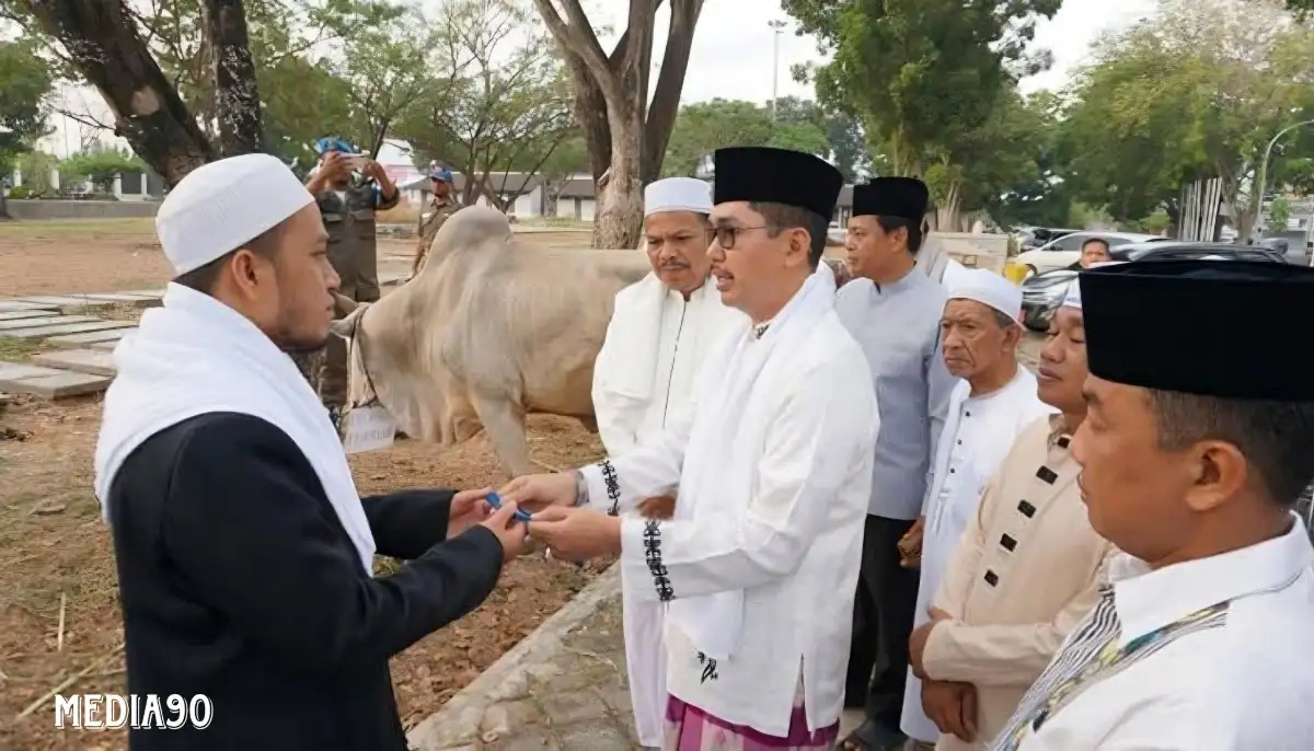 Pemkab Lampung Selatan Siapkan 39 Ekor Sapi Kurban