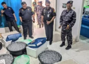 Gerebek Gudang Benih Lobster di Bandar Lampung: Lanal Lampung Ungkap Penyelundupan Terkait Pengembangan di Banten