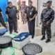 Pengembangan di Banten, Lanal Lampung Gerebek Gudang Penyelundupan Benih Lobster di Bandar Lampung
