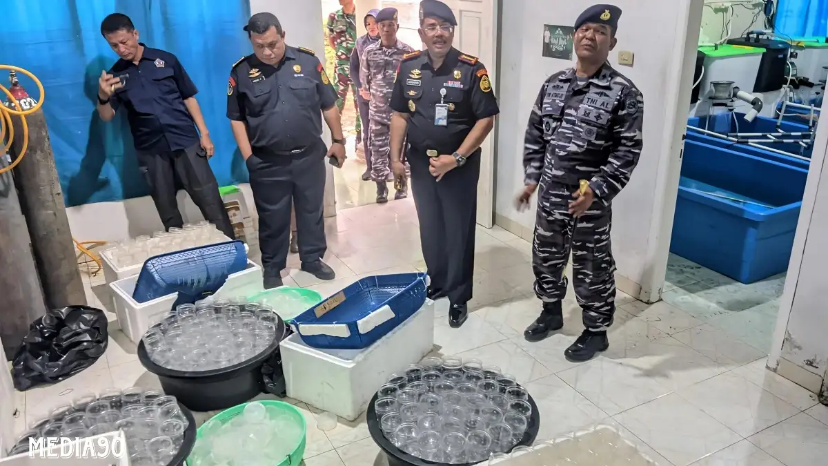 Pengembangan di Banten, Lanal Lampung Gerebek Gudang Penyelundupan Benih Lobster di Bandar Lampung