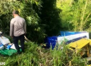 Kisah Dramatis: Truk Muatan Beras 10 Ton ‘Rem Blong’ di Sekincau, Lampung Barat