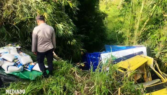 Kisah Dramatis: Truk Muatan Beras 10 Ton ‘Rem Blong’ di Sekincau, Lampung Barat