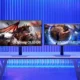 Samsung luncurkan monitor gaming Odyssey OLED series, ditenagai AI berteknologi perlindungan burn-in