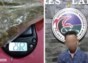 Sindikat Ganja Terungkap: Polisi Amankan Pria Asal Way Bungur di Lampung Timur