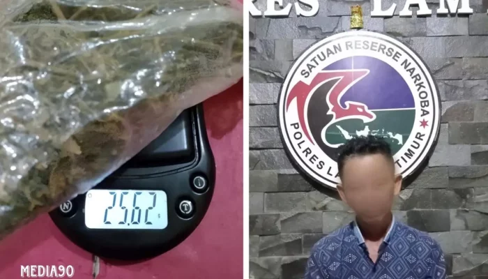 Sindikat Ganja Terungkap: Polisi Amankan Pria Asal Way Bungur di Lampung Timur