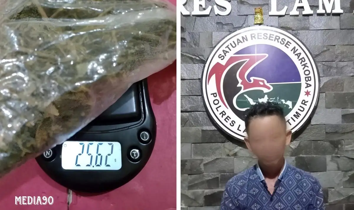 Sering Edarkan Ganja di Lampung Timur, Polisi Tangkap Pria Asal Way Bungur ini