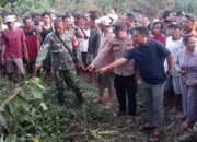 Tragedi Siswi SMK Mesuji: Dugaan Relasi Kuasa dan Pengaruh Tayangan Porno