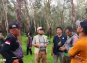 Kucing Emas Misterius Masih Menghilang di Kebun PTPN VII Gedong Tataan Pesawaran: Tim Pencari Bergerak!