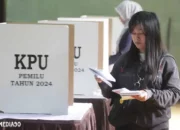 Partisipasi Pemilih yang Tinggi Tak Menjamin Kualitas Demokrasi