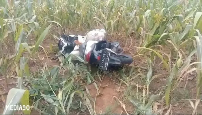 Terkaget! Saat Mencari Rumput, Warga Labuhan Ratu Lampung Timur Temukan Mayat Perempuan Terbungkus Karung di Ladang Jagung
