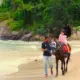 Ini Rahasia Sukses Desa Kelawi Bakauheni Lampung Selatan Raih Penghargaan Desa BRILiaN Hijau