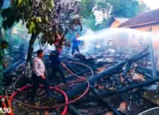 Korsleting Listrik Picu Kebakaran Hebat di Pulau Panggung Tanggamus, Kerugian Capai Rp120 Juta