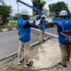 Pohon Tumbang di Pengajaran Bandar Lampung Timpa Tiang Listrik Hingga Patah, PLN Gerak Cepat Normalkan Pasokan Listrik