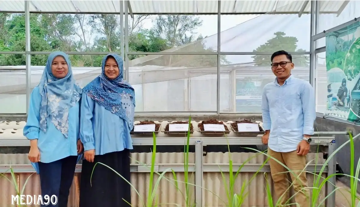 Tim Polinela Kembangkan Inovasi Pupuk Organik dari Jerami Padi di Jati Agung