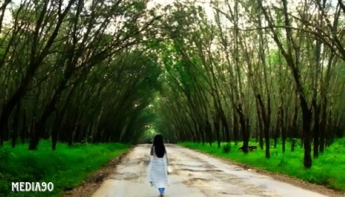 Pembegalan di Kebun Karet Trikora Jati Agung, Pelaku Ditangkap di Serpong dan Depok