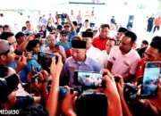 Rahmat Mirzani Djausal Dampingi Winarti dan Reynata Daftar Cagub ke KPU Tulang Bawang