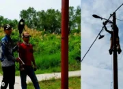 Kurangi Risiko Malam, Kampung Bumi Sentosa Pasang 20 Titik Lampu Jalan di Dipasena