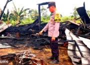 Kebakaran Diduga Berasal dari Kompor Gas, Rumah di Kebun Tebu Lampung Barat Ludes Terbakar dengan Kerugian Rp60 Juta