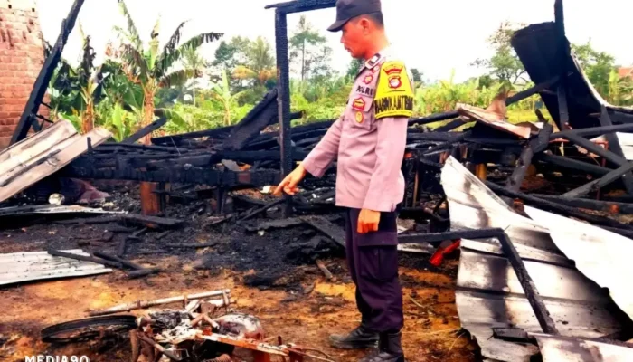 Kebakaran Diduga Berasal dari Kompor Gas, Rumah di Kebun Tebu Lampung Barat Ludes Terbakar dengan Kerugian Rp60 Juta