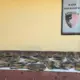 Dikirim ke Tangerang, Penyelundupan Ratusan Kulit Piton Ilegal Digagalkan Balai Karantina di Pelabuhan Bakauheni