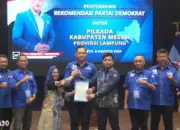 Elfianah Pastikan Koalisi Demokrat dan Nasdem di Pilkada Mesuji 2024, Yakin Partai Lain Akan Bergabung