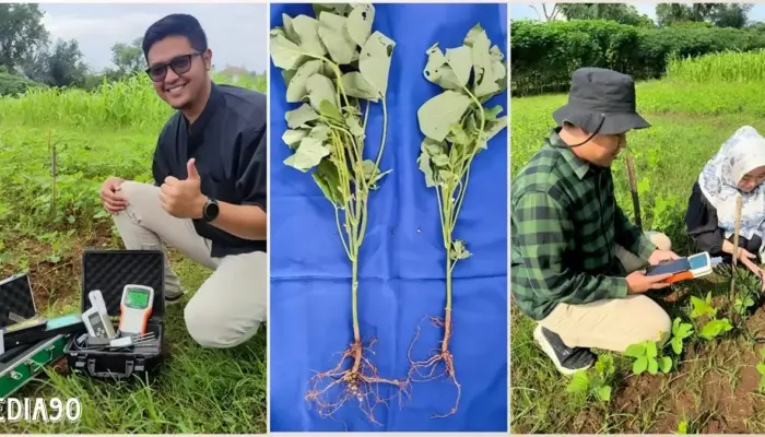 Prestasi Dosen Polinela dalam Meningkatkan Produksi Tanaman Edamame