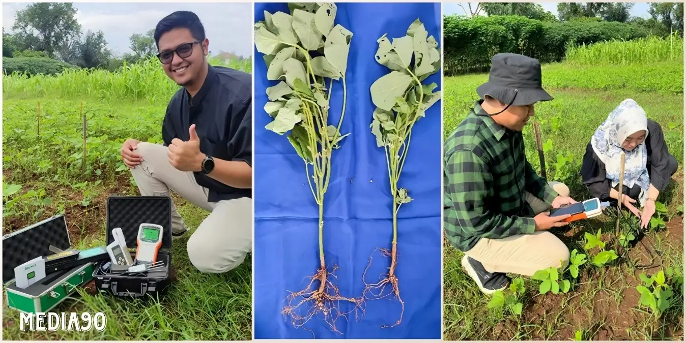 Dosen Polinela Berhasil Tingkatkan Produksi Budidaya Tanaman Edamame