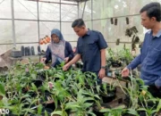 Inovasi Dosen Polinela: Pengembangan Machine Learning untuk Deteksi Penyakit Anggrek