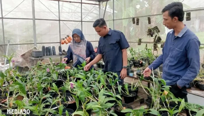 Inovasi Dosen Polinela: Pengembangan Machine Learning untuk Deteksi Penyakit Anggrek
