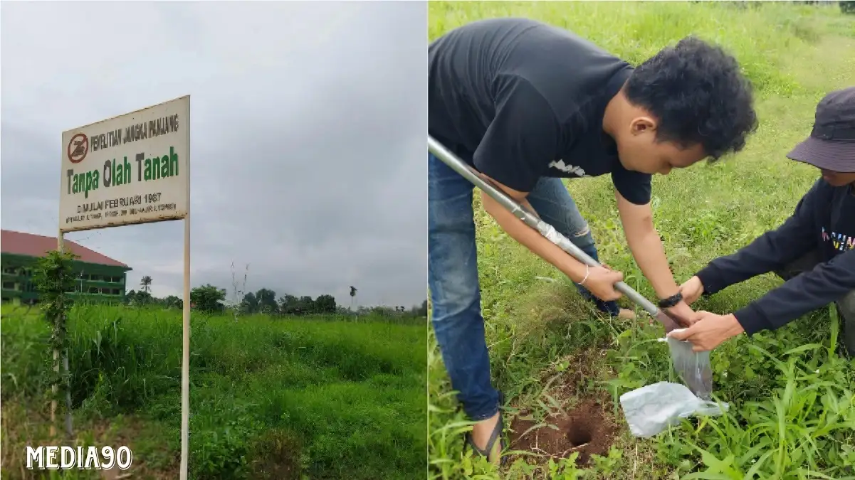 Dosen Polinela Kembangkan Penelitian Pengendalian Gulma dengan Sistem Olah Tanah Konservasi
