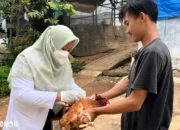 Inovasi Dosen Polinela dalam Riset Pengelolaan Kesehatan Ayam Petelur Pasca Vaksinasi