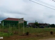Peneliti Polinela Fokus pada Riset Pengolahan Tanah untuk Maksimalkan Pertumbuhan Tanaman
