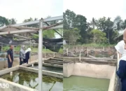 Inovasi Dosen Polinela: Estimasi Berat Ikan dengan Citra Digital