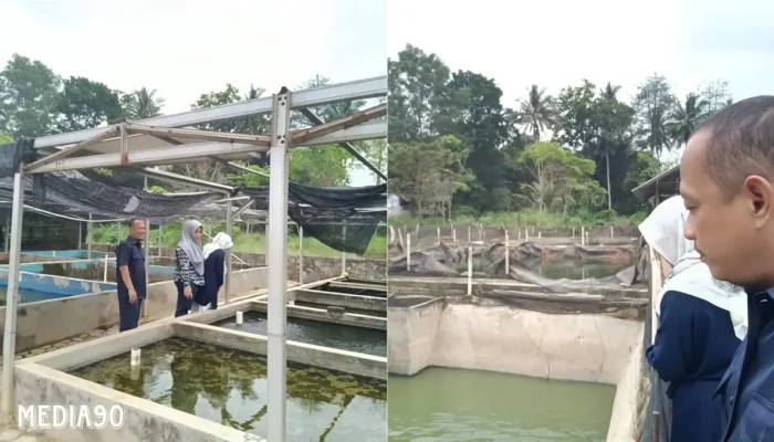 Inovasi Dosen Polinela: Estimasi Berat Ikan dengan Citra Digital