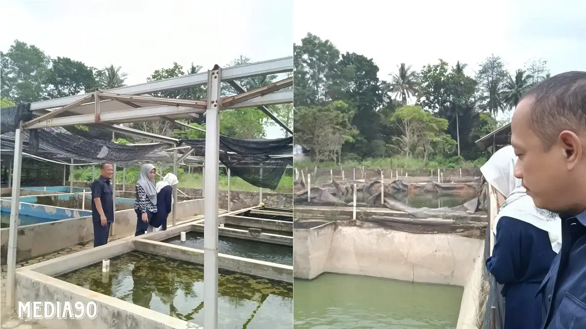 Dosen Polinela Kembangkan Teknologi Estimasi Berat Ikan dengan Citra Digital