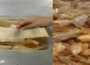 Dosen Polinela Ubah Kulit Udang dan Singkong Jadi Kemasan Makanan Ramah Lingkungan