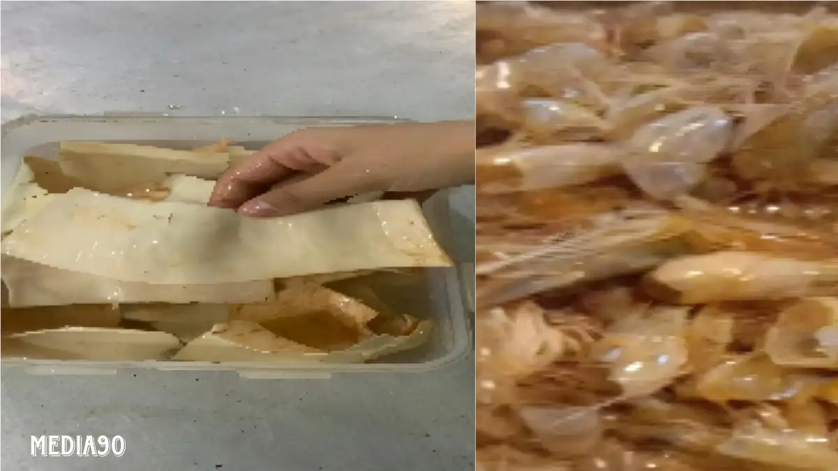 Dosen Polinela Teliti Kulit Udang dan Singkong Jadi Kemasan Makanan yang Ramah Lingkungan