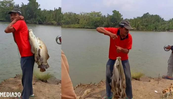 Warga Rawajitu Ramai Memancing Ikan Kakap di Jembatan Induk Bumi Dipasena Abadi