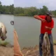 Ikan Kakap Berlimpah, Warga Rawajitu Ramai-Ramai Mancing di Jembatan Induk Bumi Dipasena Abadi