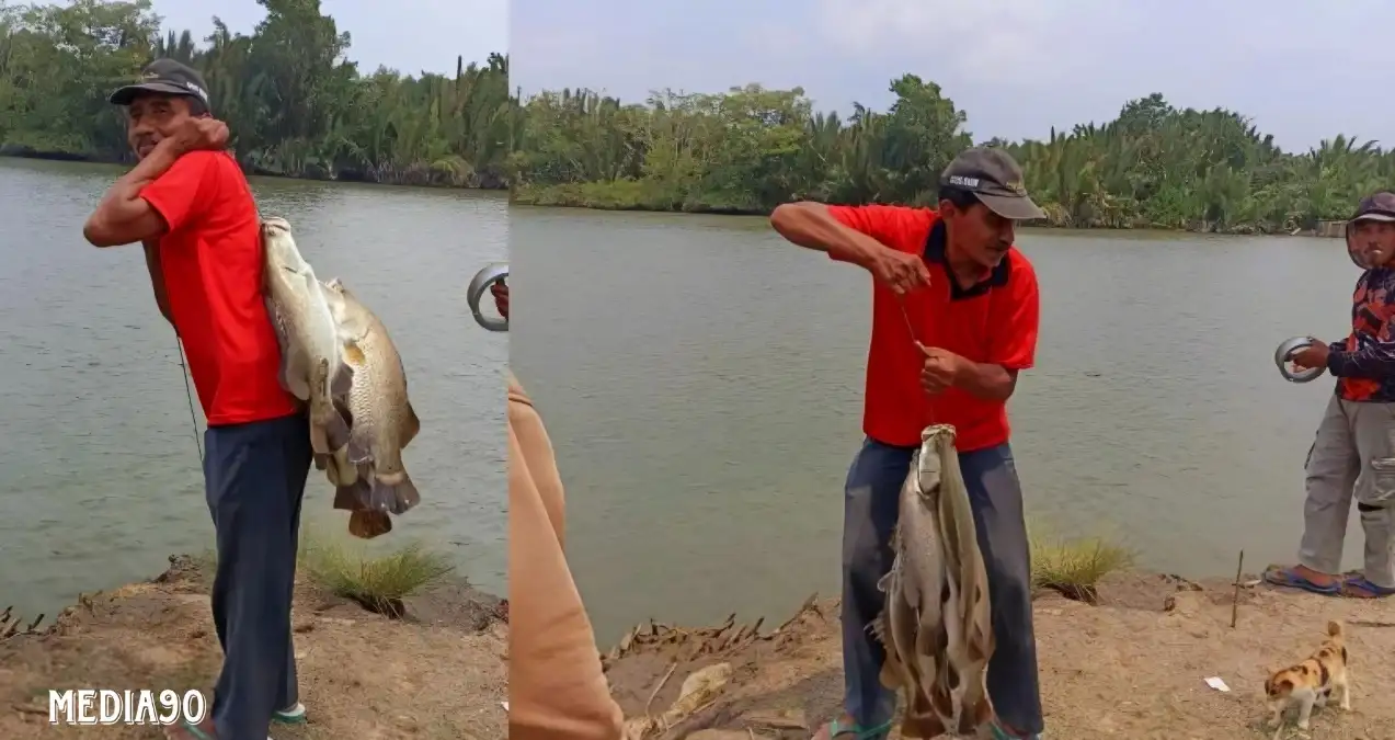 Ikan Kakap Berlimpah, Warga Rawajitu Ramai-Ramai Mancing di Jembatan Induk Bumi Dipasena Abadi