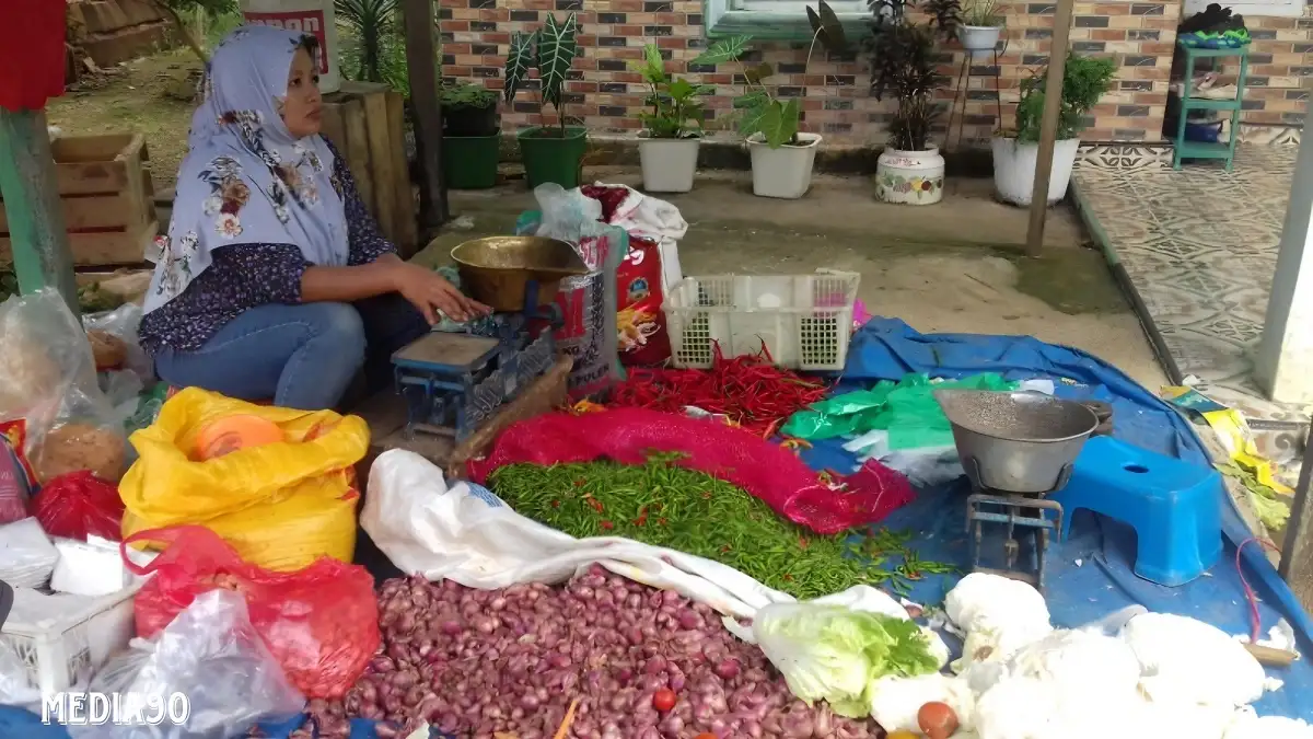 Juli 2024, Ekonomi Lampung Alami Deflasi Harga 0,16 Persen, Bawang Merah Tertinggi Penurunan Harga