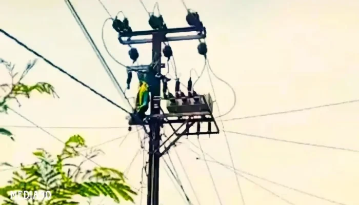 PLN UID Lampung Tegaskan Korban Tersengat Listrik di Labuhan Maringgai Bukan Pekerja Mereka
