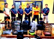 Ironis! Pria Asal Purwosari Metro Libatkan Empat Anaknya yang Masih Remaja untuk Mencuri Ayam, Itik, dan Burung
