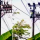 Pekerja PLN Asal Karang Anyar Jati Agung Meninggal Tersengat Listrik di Labuhan Maringgai Lampung Timur