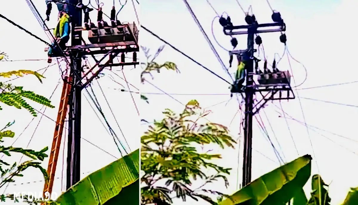 Pekerja PLN Asal Karang Anyar Jati Agung Meninggal Tersengat Listrik di Labuhan Maringgai Lampung Timur