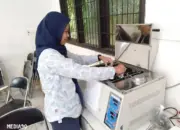Dosen Polinela Meneliti Potensi Rumput Laut Sargassum sebagai Suplemen Kesehatan Ikan