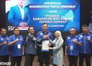 Pilkada 2024: Partai Demokrat Mengusung Ardian-Sofyan di Lampung Utara, Elfianah-Yugi di Mesuji, Novriwan-Nadir di Tubaba, dan Ali-Ayu di Way Kanan