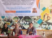 Polinela Dorong Pengembangbiakan Sapi Potong di Lampung Selatan dengan Pakan Inovatif DFM