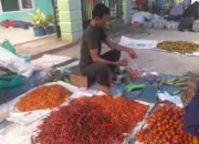 Tanggapi Kenaikan Harga, Pemprov Lampung Dorong Aksi Tanam Cabai, Warga Diimbau Bertanam di Pekarangan