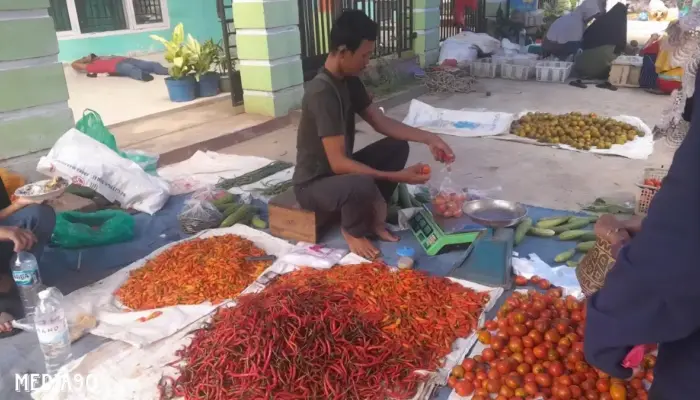 Tanggapi Kenaikan Harga, Pemprov Lampung Dorong Aksi Tanam Cabai, Warga Diimbau Bertanam di Pekarangan